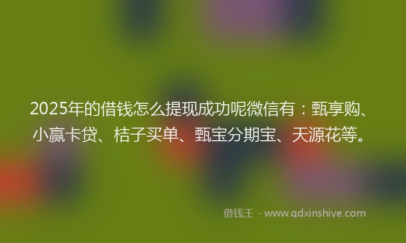 2025年的借钱怎么提现成功呢微信有：甄享购、小赢卡贷、桔子买单、甄宝分期宝、天源花等。