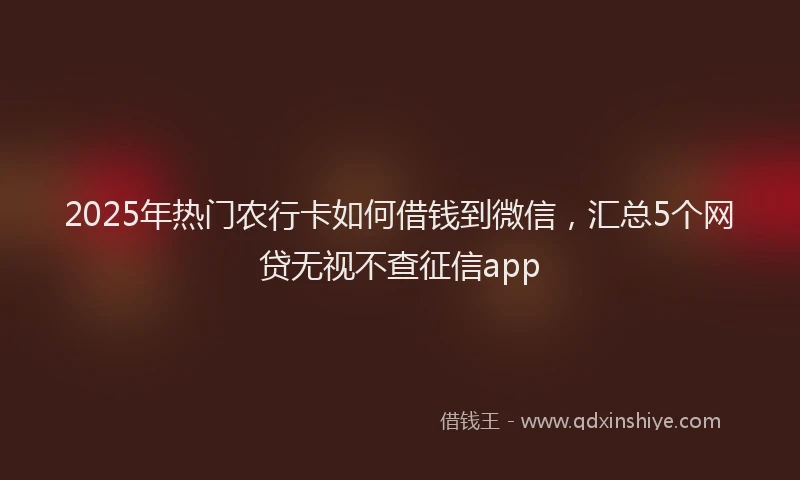 2025年热门农行卡如何借钱到微信，汇总5个网贷无视不查征信app