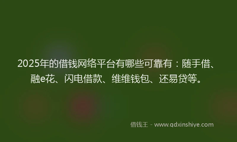 2025年的借钱网络平台有哪些可靠有：随手借、融e花、闪电借款、维维钱包、还易贷等。