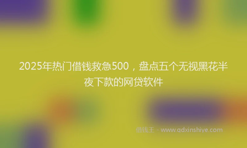 2025年热门借钱救急500，盘点五个无视黑花半夜下款的网贷软件