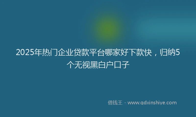 2025年热门企业贷款平台哪家好下款快，归纳5个无视黑白户口子
