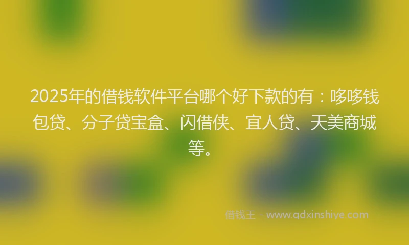 2025年的借钱软件平台哪个好下款的有：哆哆钱包贷、分子贷宝盒、闪借侠、宜人贷、天美商城等。