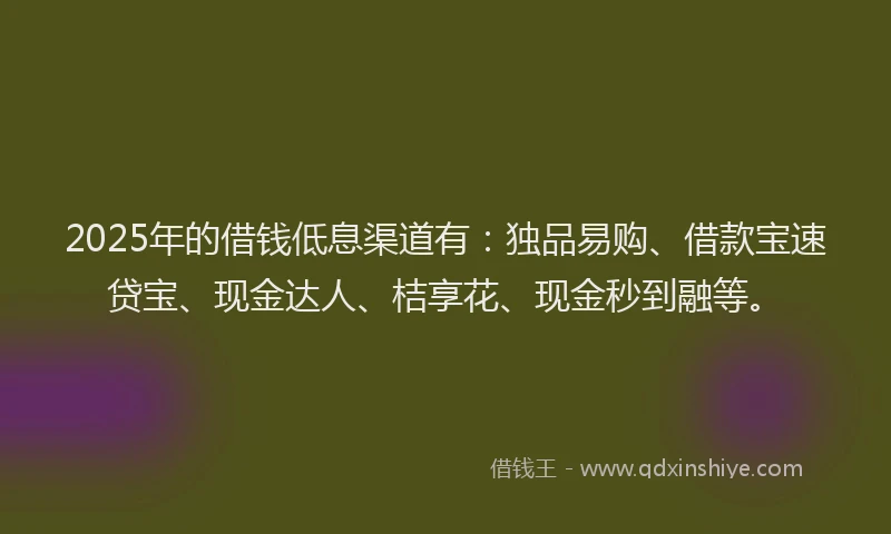2025年的借钱低息渠道有：独品易购、借款宝速贷宝、现金达人、桔享花、现金秒到融等。