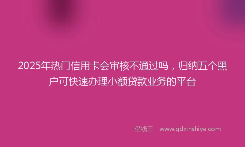 2025年热门信用卡会审核不通过吗，归纳五个黑户可快速办理小额贷款业务的平台