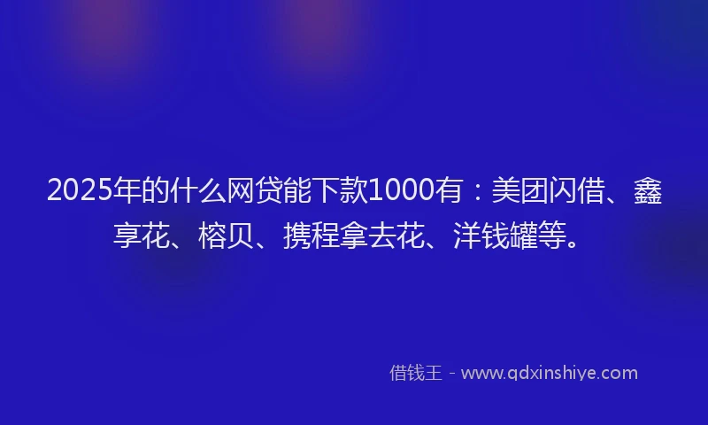 2025年的什么网贷能下款1000有：美团闪借、鑫享花、榕贝、携程拿去花、洋钱罐等。
