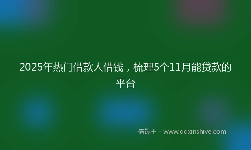 2025年热门借款人借钱，梳理5个11月能贷款的平台
