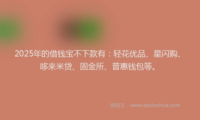2025年的借钱宝不下款有：轻花优品、星闪购、哆来米贷、固金所、普惠钱包等。