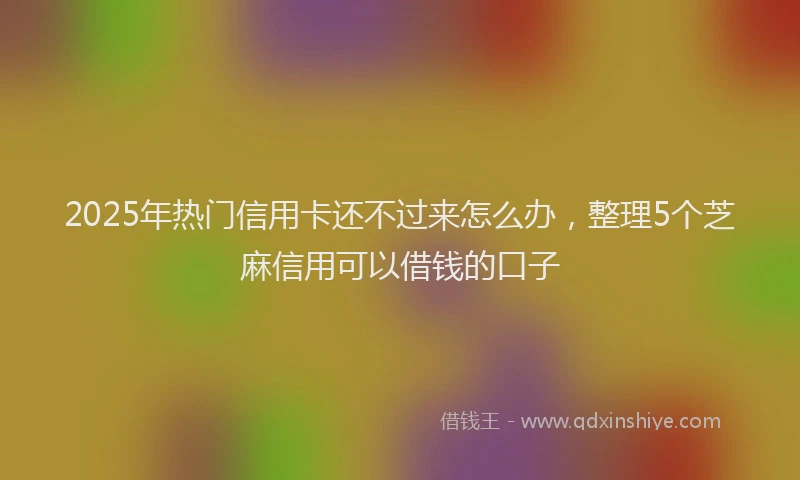 2025年热门信用卡还不过来怎么办，整理5个芝麻信用可以借钱的口子