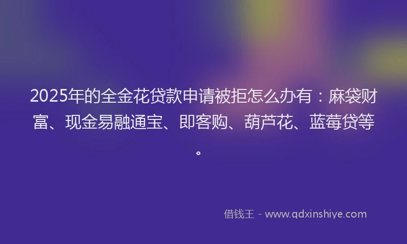 2025年的全金花贷款申请被拒怎么办有：麻袋财富、现金易融通宝、即客购、葫芦花、蓝莓贷等。