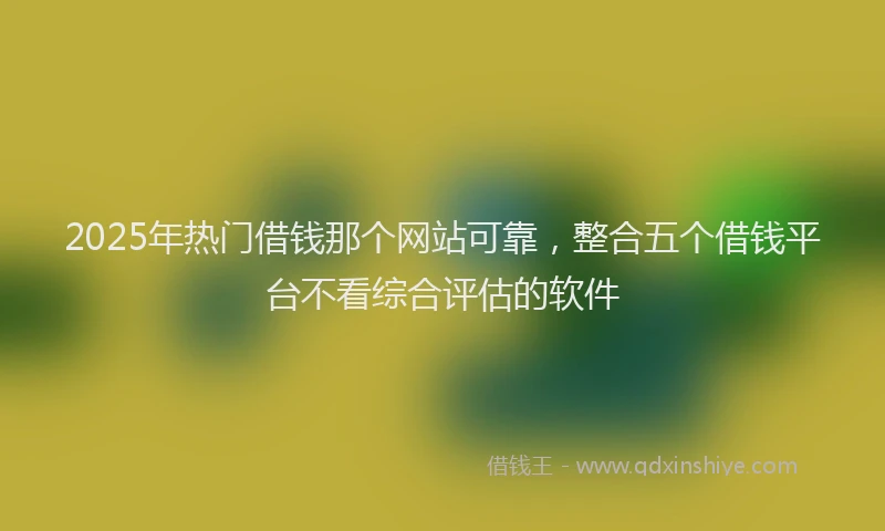 2025年热门借钱那个网站可靠，整合五个借钱平台不看综合评估的软件