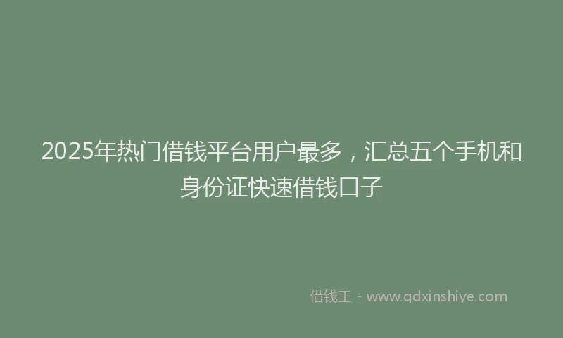 2025年热门借钱平台用户最多，汇总五个手机和身份证快速借钱口子