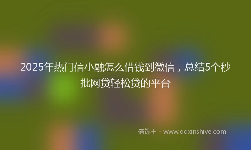 2025年热门信小融怎么借钱到微信，总结5个秒批网贷轻松贷的平台