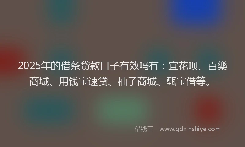 2025年的借条贷款口子有效吗有：宜花呗、百樂商城、用钱宝速贷、柚子商城、甄宝借等。