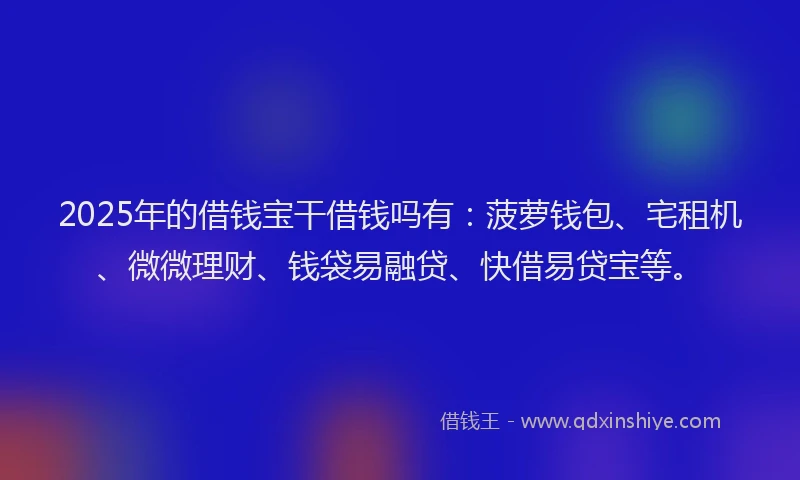 2025年的借钱宝干借钱吗有：菠萝钱包、宅租机、微微理财、钱袋易融贷、快借易贷宝等。