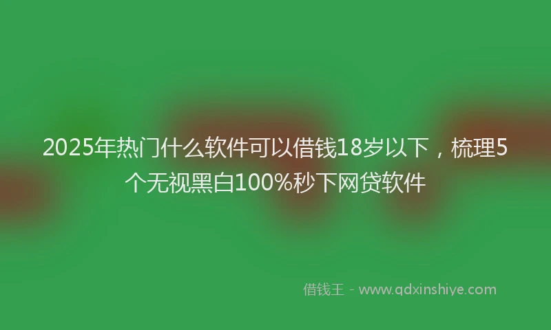 2025年热门什么软件可以借钱18岁以下，梳理5个无视黑白100%秒下网贷软件