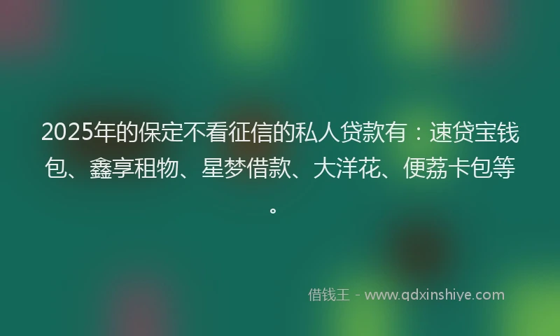 2025年的保定不看征信的私人贷款有：速贷宝钱包、鑫享租物、星梦借款、大洋花、便荔卡包等。