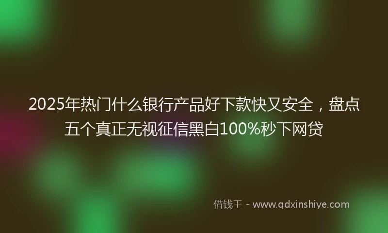 2025年热门什么银行产品好下款快又安全，盘点五个真正无视征信黑白100%秒下网贷