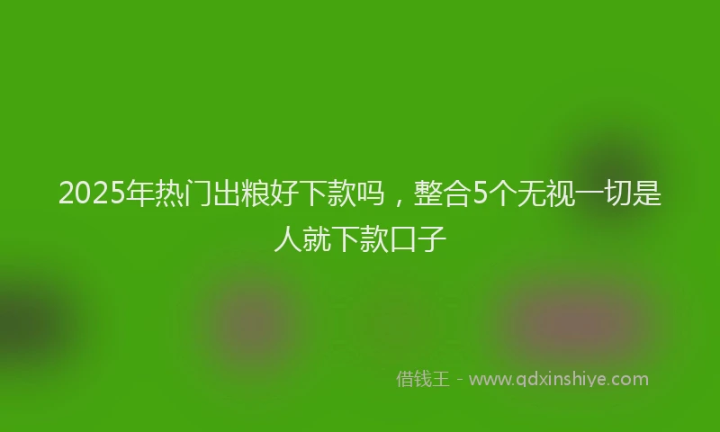 2025年热门出粮好下款吗，整合5个无视一切是人就下款口子