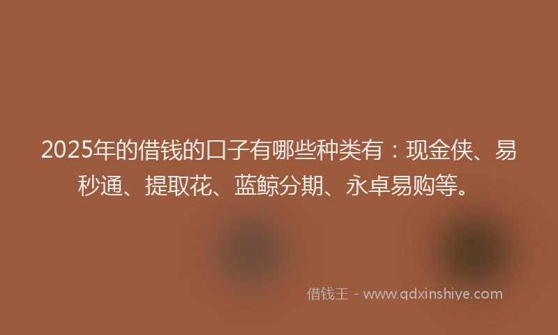 2025年的借钱的口子有哪些种类有：现金侠、易秒通、提取花、蓝鲸分期、永卓易购等。