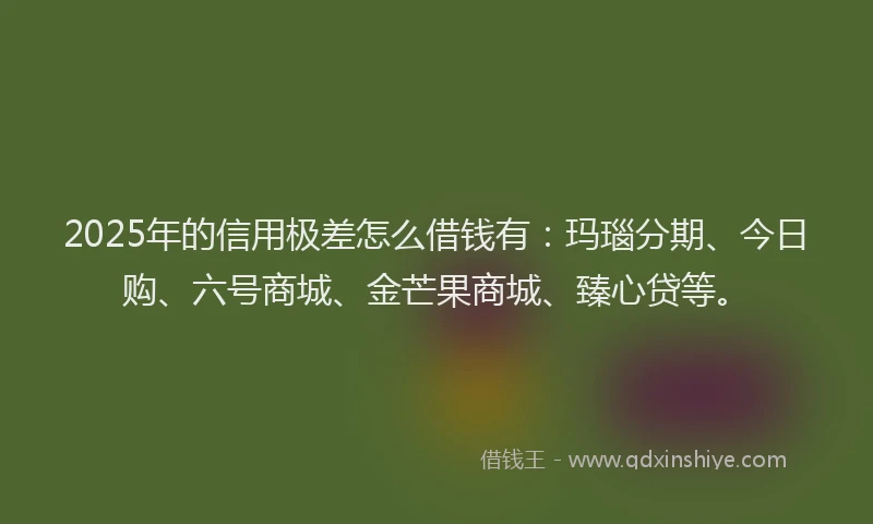 2025年的信用极差怎么借钱有：玛瑙分期、今日购、六号商城、金芒果商城、臻心贷等。