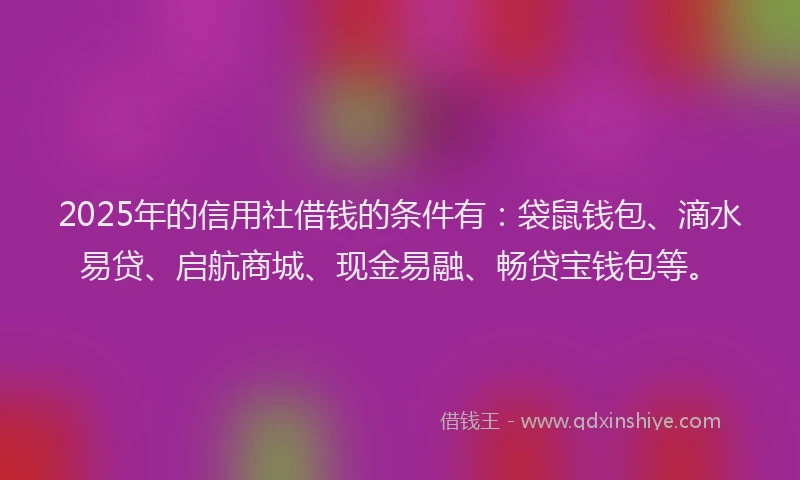2025年的信用社借钱的条件有：袋鼠钱包、滴水易贷、启航商城、现金易融、畅贷宝钱包等。