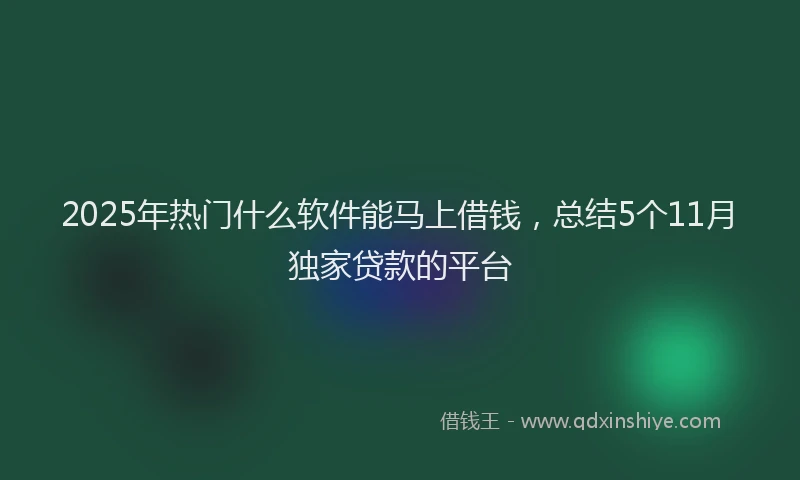 2025年热门什么软件能马上借钱，总结5个11月独家贷款的平台