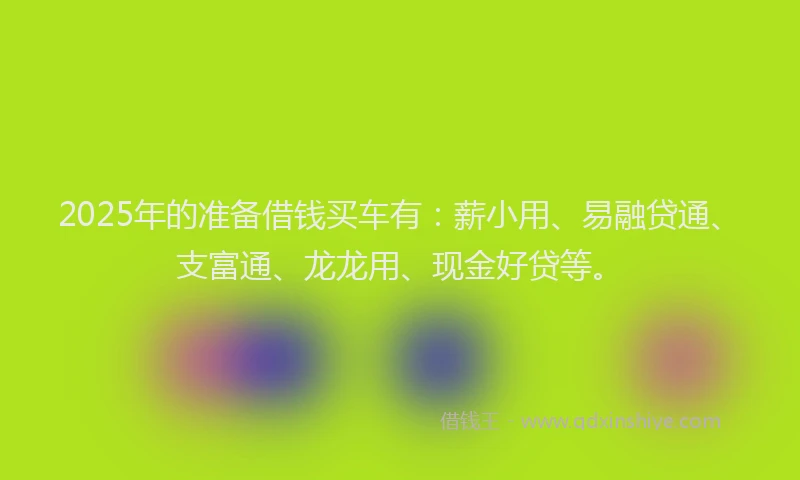 2025年的准备借钱买车有：薪小用、易融贷通、支富通、龙龙用、现金好贷等。