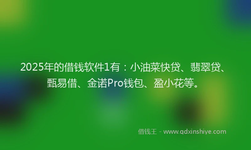 2025年的借钱软件1有：小油菜快贷、翡翠贷、甄易借、金诺Pro钱包、盈小花等。