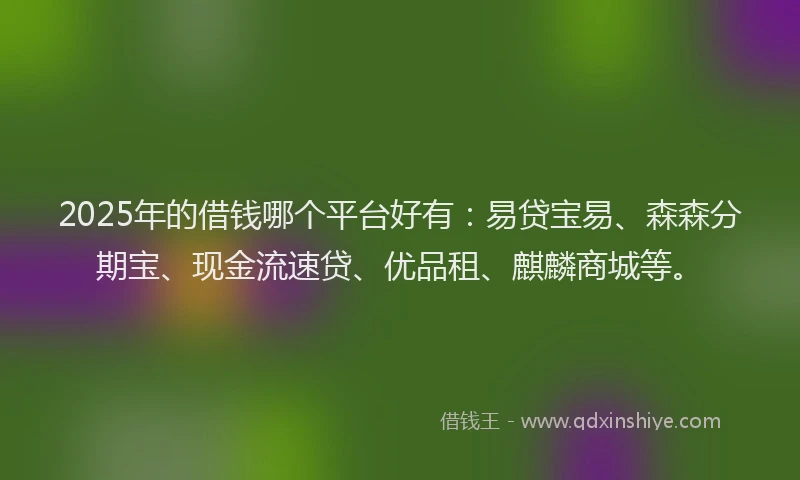 2025年的借钱哪个平台好有：易贷宝易、森森分期宝、现金流速贷、优品租、麒麟商城等。