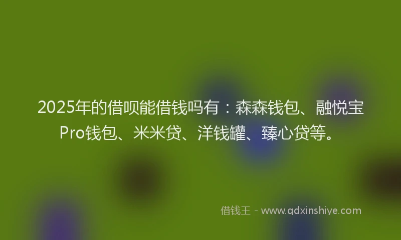 2025年的借呗能借钱吗有：森森钱包、融悦宝Pro钱包、米米贷、洋钱罐、臻心贷等。
