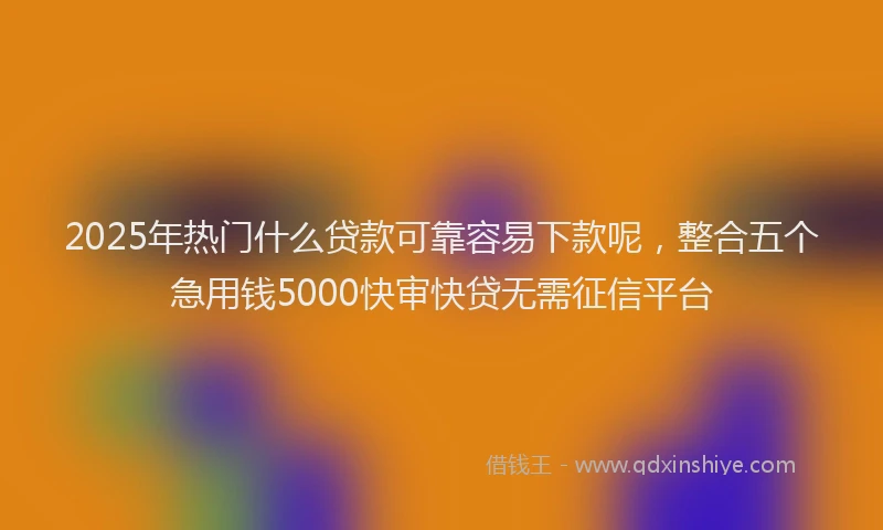 2025年热门什么贷款可靠容易下款呢，整合五个急用钱5000快审快贷无需征信平台