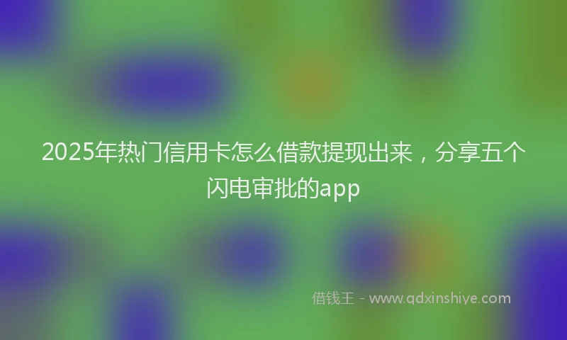 2025年热门信用卡怎么借款提现出来，分享五个闪电审批的app