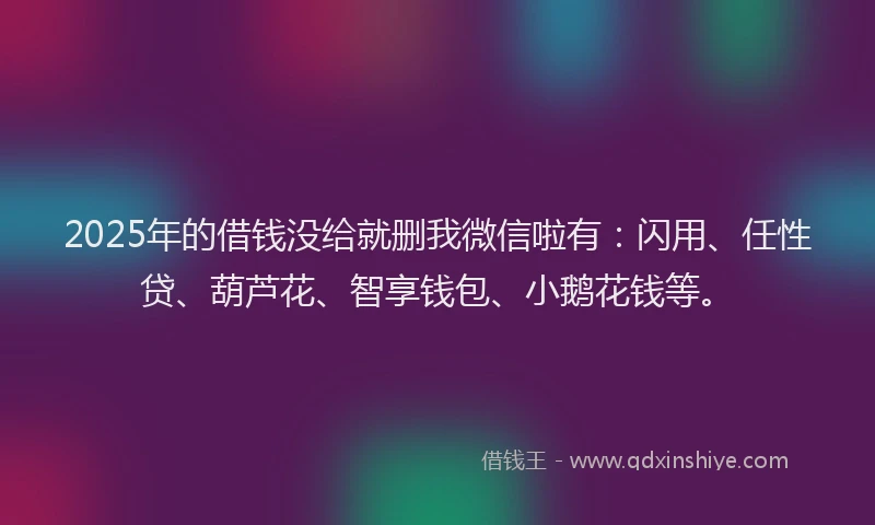2025年的借钱没给就删我微信啦有：闪用、任性贷、葫芦花、智享钱包、小鹅花钱等。