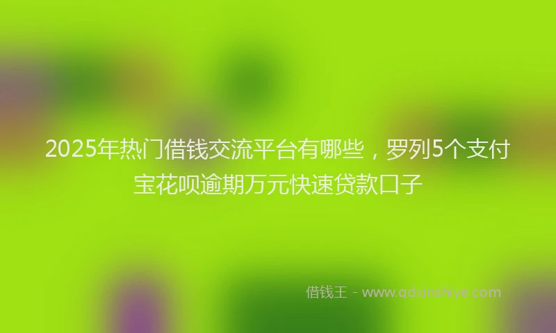 2025年热门借钱交流平台有哪些，罗列5个支付宝花呗逾期万元快速贷款口子