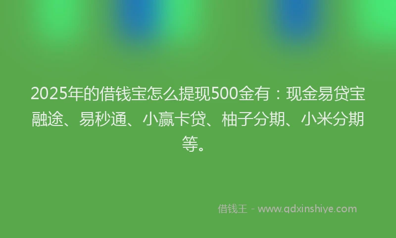 2025年的借钱宝怎么提现500金有：现金易贷宝融途、易秒通、小赢卡贷、柚子分期、小米分期等。