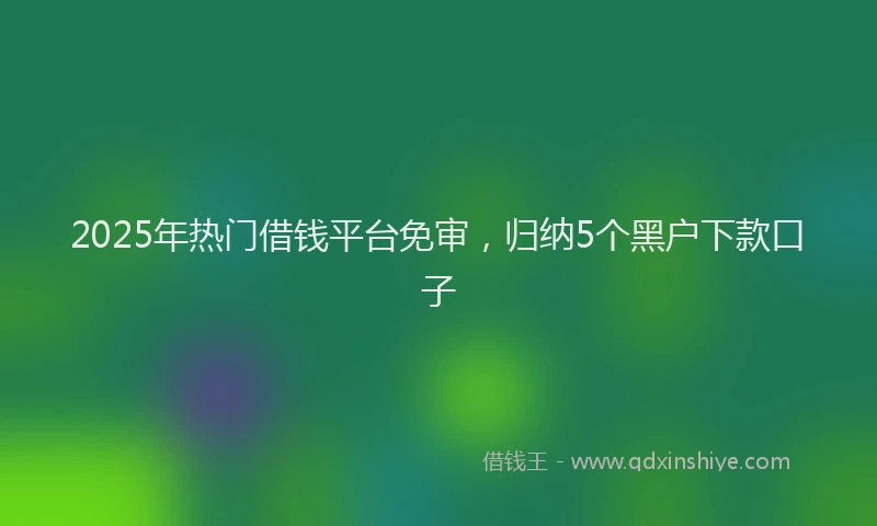2025年热门借钱平台免审，归纳5个黑户下款口子