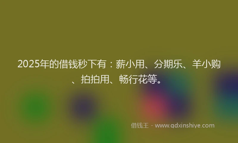 2025年的借钱秒下有：薪小用、分期乐、羊小购、拍拍用、畅行花等。