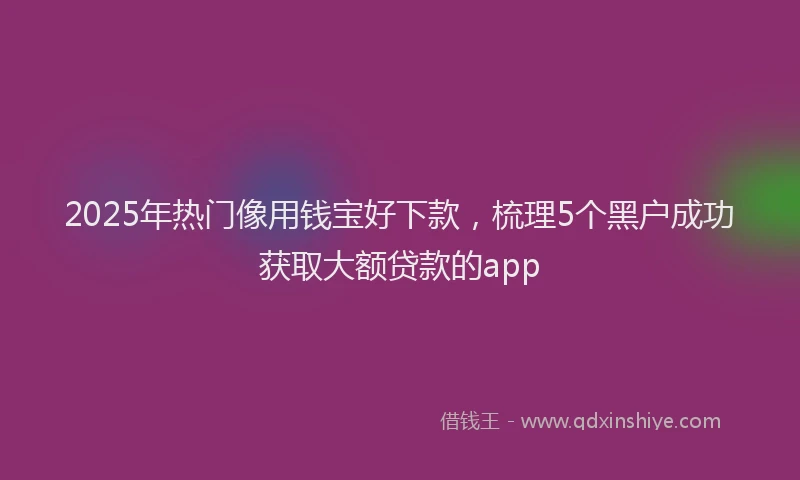 2025年热门像用钱宝好下款，梳理5个黑户成功获取大额贷款的app