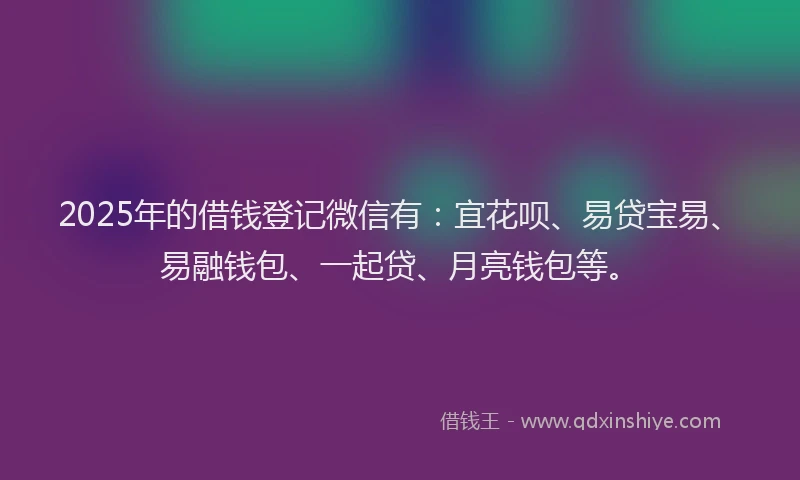 2025年的借钱登记微信有：宜花呗、易贷宝易、易融钱包、一起贷、月亮钱包等。