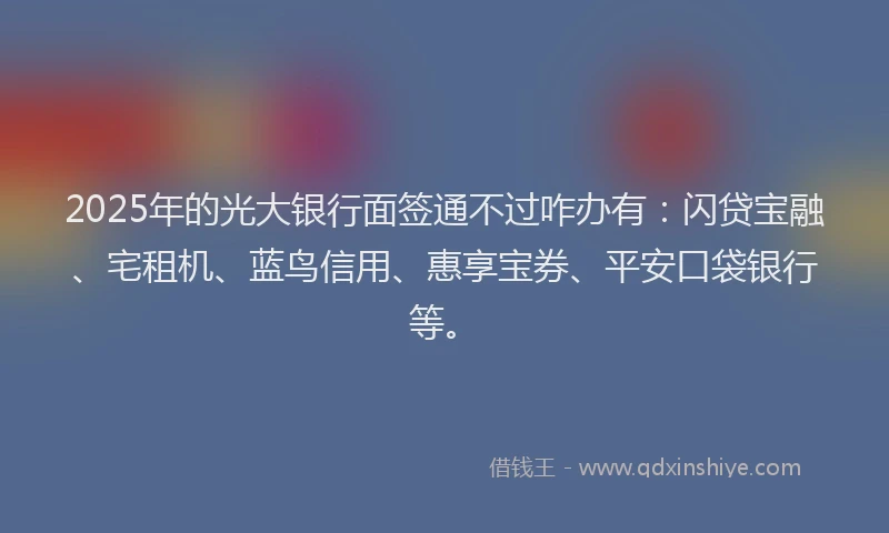 2025年的光大银行面签通不过咋办有：闪贷宝融、宅租机、蓝鸟信用、惠享宝券、平安口袋银行等。