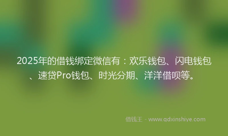 2025年的借钱绑定微信有：欢乐钱包、闪电钱包、速贷Pro钱包、时光分期、洋洋借呗等。
