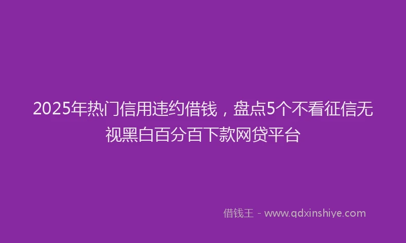 2025年热门信用违约借钱，盘点5个不看征信无视黑白百分百下款网贷平台
