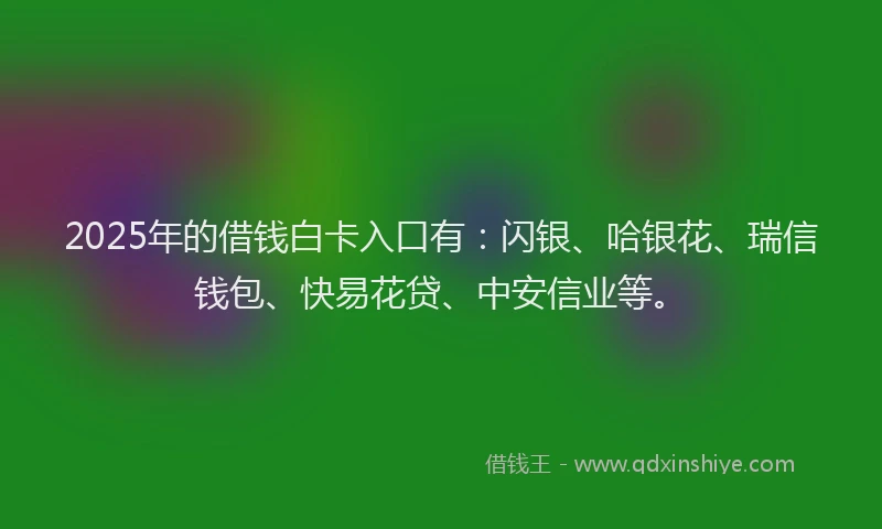 2025年的借钱白卡入口有：闪银、哈银花、瑞信钱包、快易花贷、中安信业等。