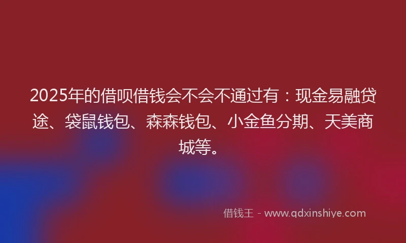 2025年的借呗借钱会不会不通过有：现金易融贷途、袋鼠钱包、森森钱包、小金鱼分期、天美商城等。