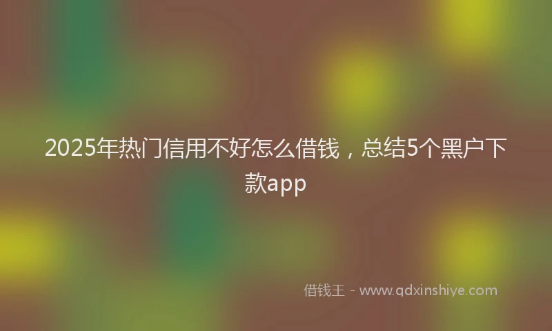 2025年热门信用不好怎么借钱，总结5个黑户下款app