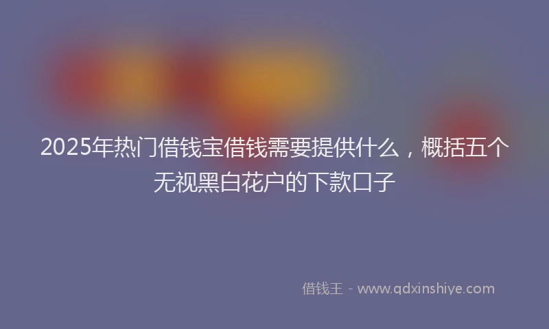 2025年热门借钱宝借钱需要提供什么，概括五个无视黑白花户的下款口子