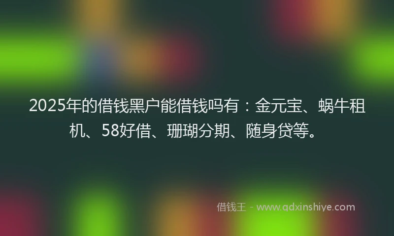 2025年的借钱黑户能借钱吗有：金元宝、蜗牛租机、58好借、珊瑚分期、随身贷等。