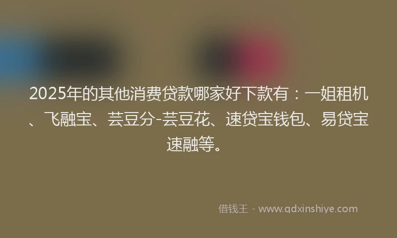 2025年的其他消费贷款哪家好下款有：一姐租机、飞融宝、芸豆分-芸豆花、速贷宝钱包、易贷宝速融等。