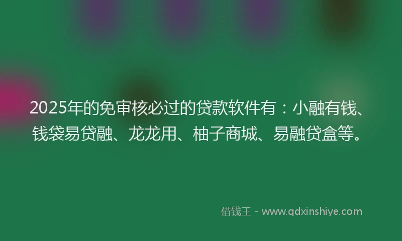 2025年的免审核必过的贷款软件有：小融有钱、钱袋易贷融、龙龙用、柚子商城、易融贷盒等。