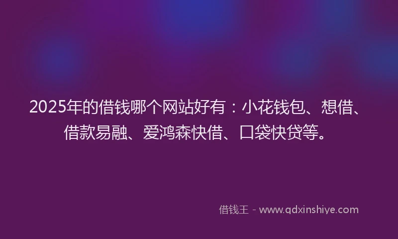 2025年的借钱哪个网站好有：小花钱包、想借、借款易融、爱鸿森快借、口袋快贷等。